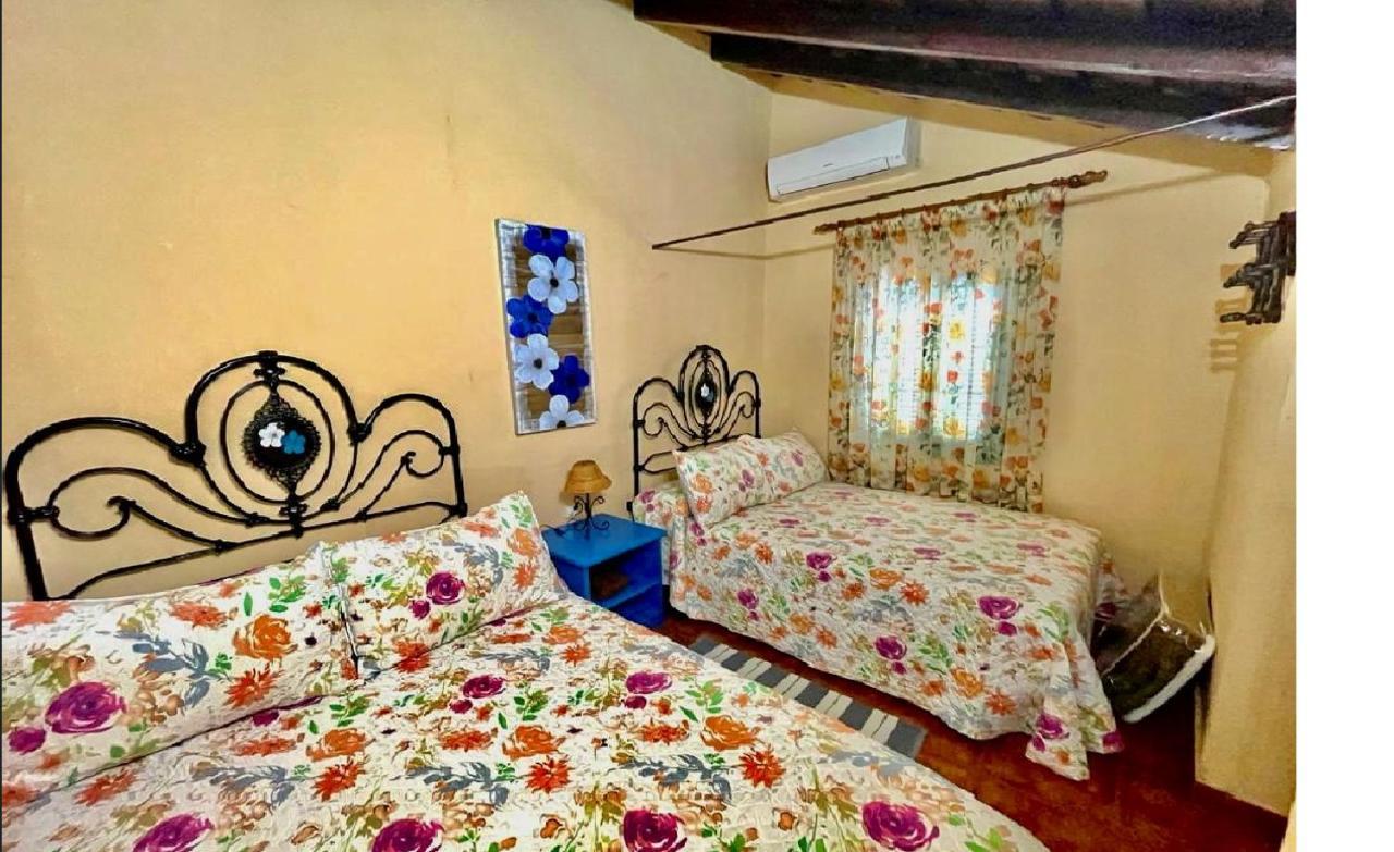וילפלור Casa Rural Finca Paraiso. Heated Pool מראה חיצוני תמונה